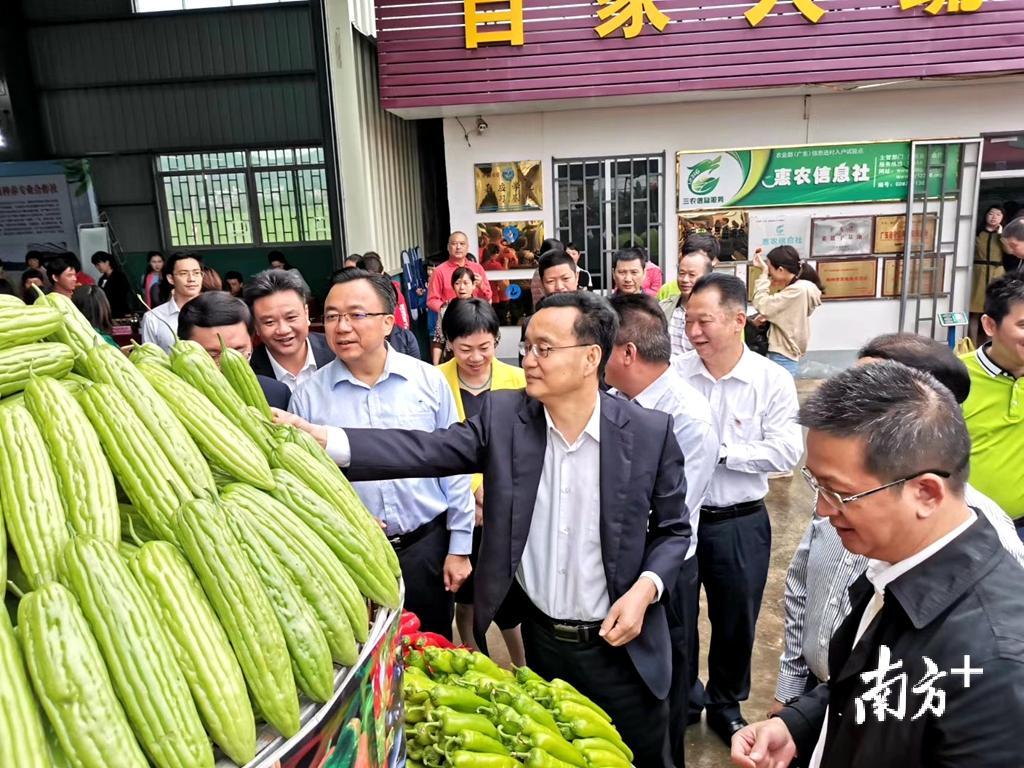 粤港澳大湾区“菜篮子”梅州配送分中心动工，育苗大棚同步启动