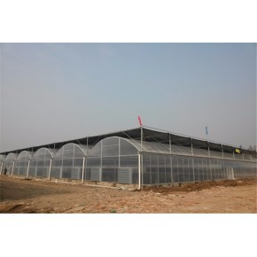 连体型生态育苗棚育苗大棚PO膜型建造指南 从规划到落成